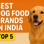 Top 5 Best Dog Food Brands in India (2025)